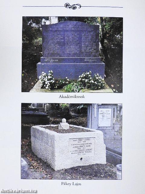 Tört kövön és porladó kereszten