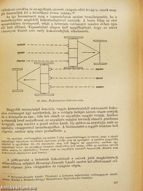 Szántóföldi növénytermesztés