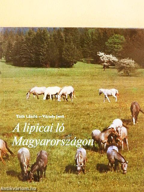 A lipicai ló Magyarországon