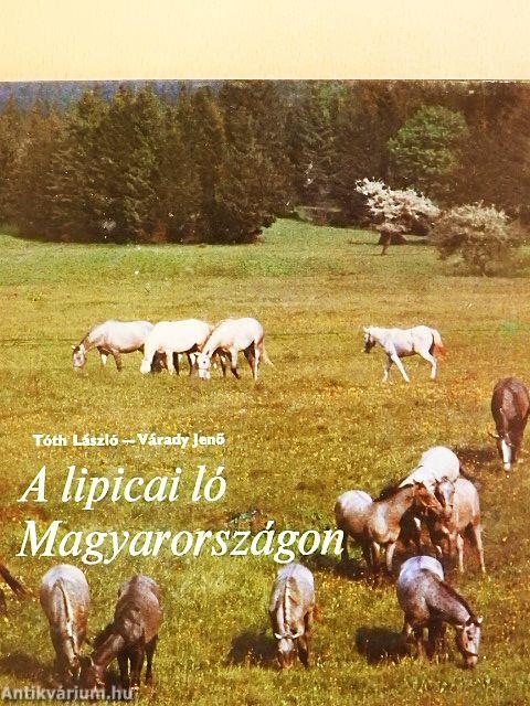 A lipicai ló Magyarországon
