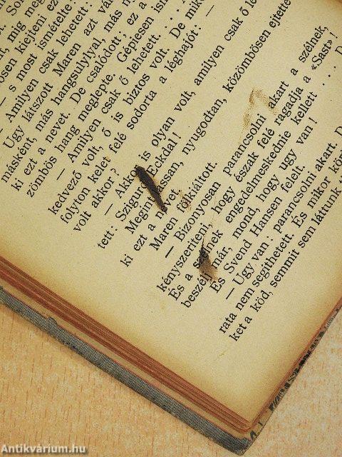 Léghajón az Északi Sarkhoz