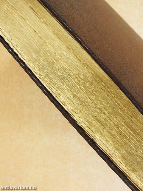 Nouveau Dictionnaire Pratique