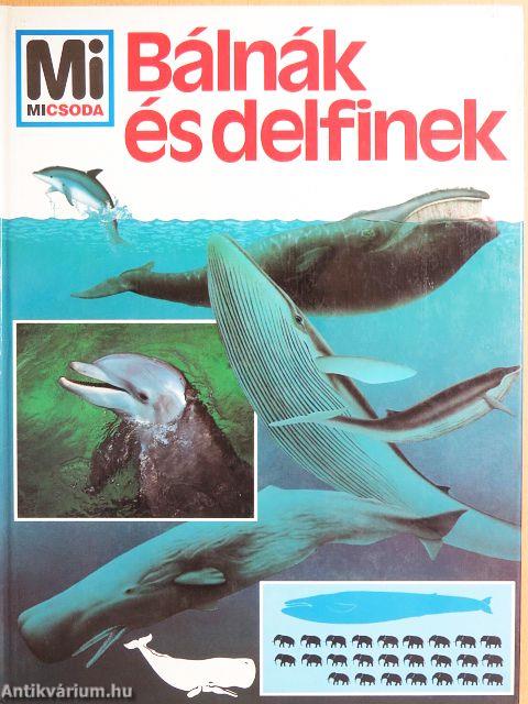 Bálnák és delfinek