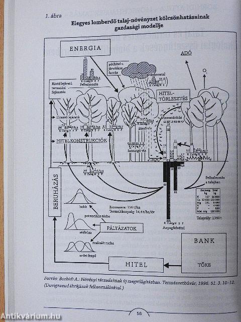 Ökológia az ezredfordulón I-III.