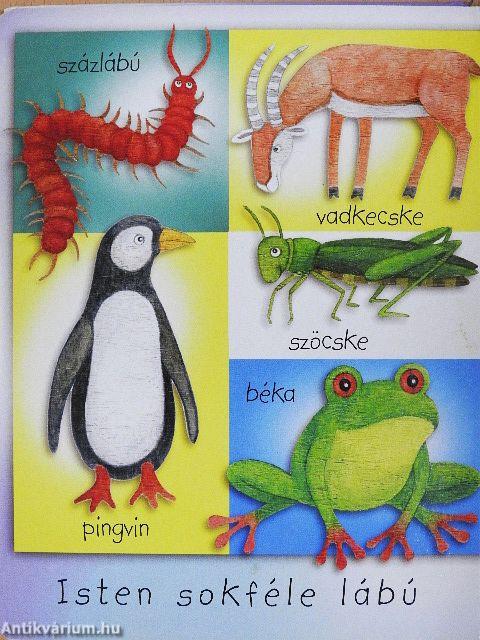 Engem Isten teremtett