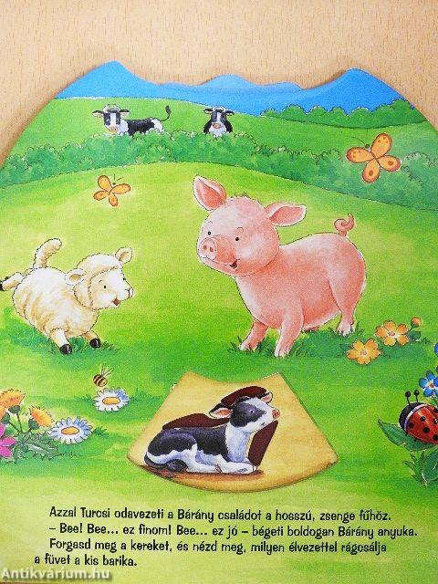 Turcsi mindig segít