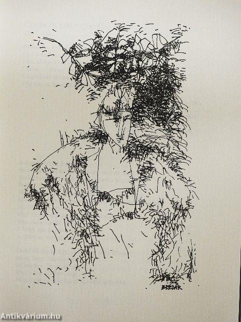 Elvesznek sorban a jelzők