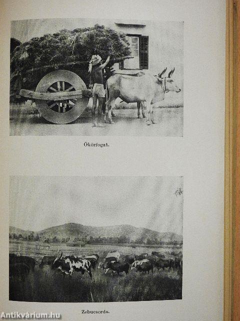 Cejlon, az éden szigete