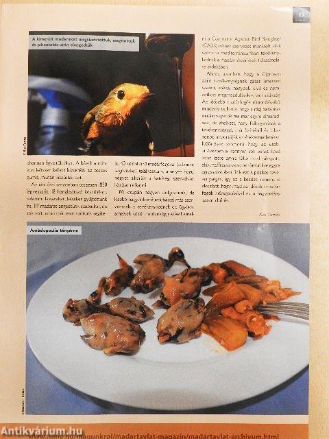 Madártávlat 2011. tavasz-tél