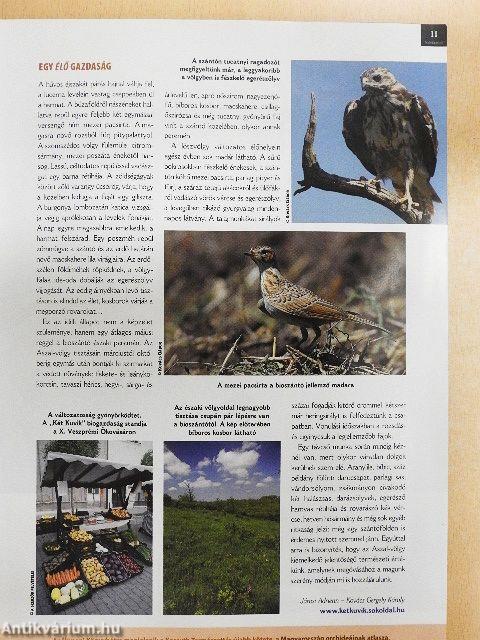 Madártávlat 2011. tavasz-tél