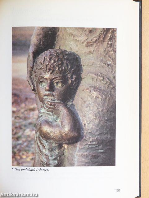 Sárvártól Sárvárig