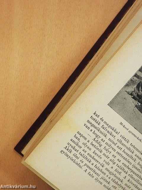 A kannibálok földjén