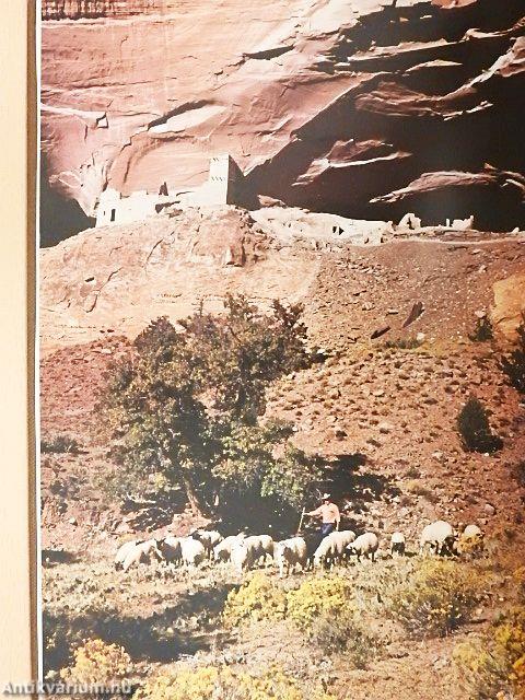 Der erste Amerikaner