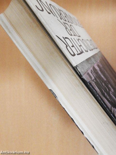 Die Töchter der Erinnerung