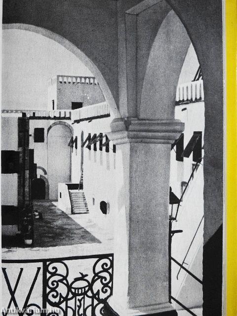 Fekete elefántcsont