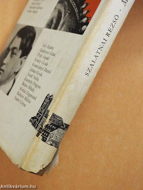 Magyar írók nyomában