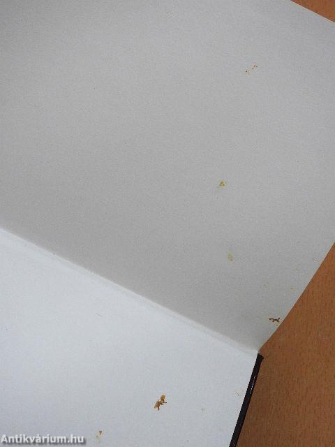 A sivatag hercegnője