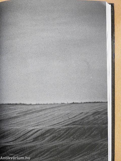 A gyógyító alvás