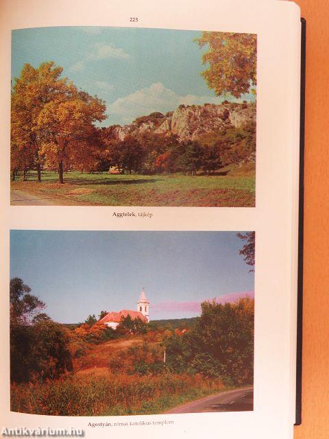 Révai új lexikona 1-18./Magyarország a XX. században I-V.