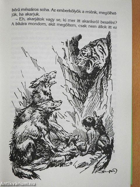 Maugli kalandjai az őserdőben