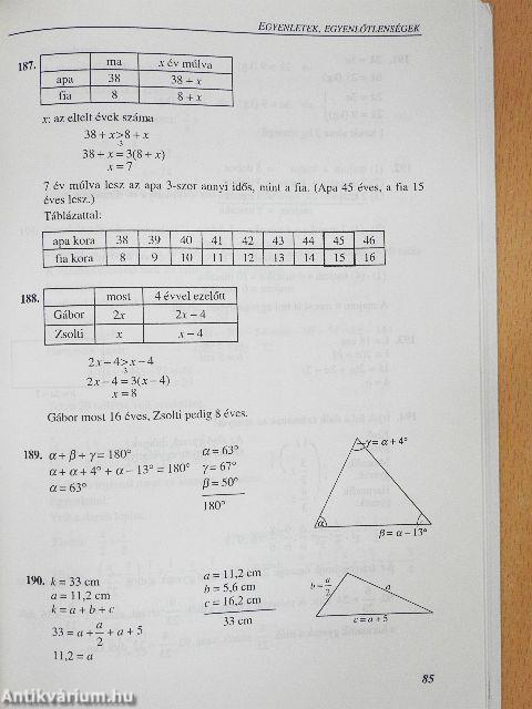 Matematikai feladatok