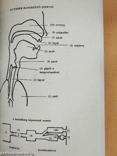 Leíró magyar nyelvtan