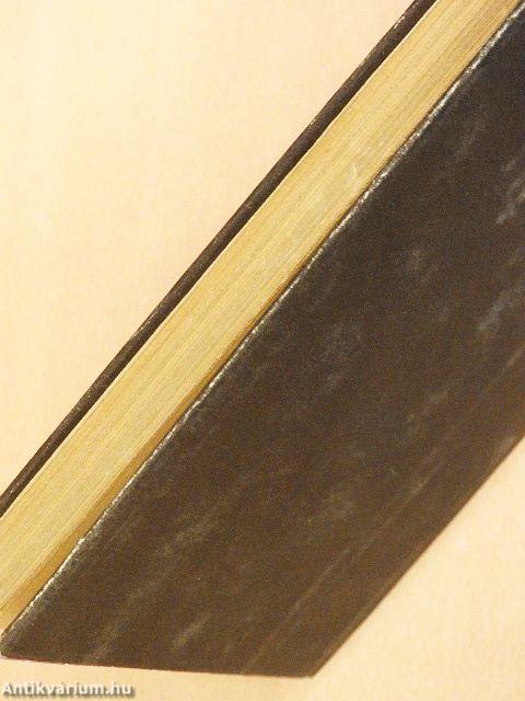 Megöltek egy legényt