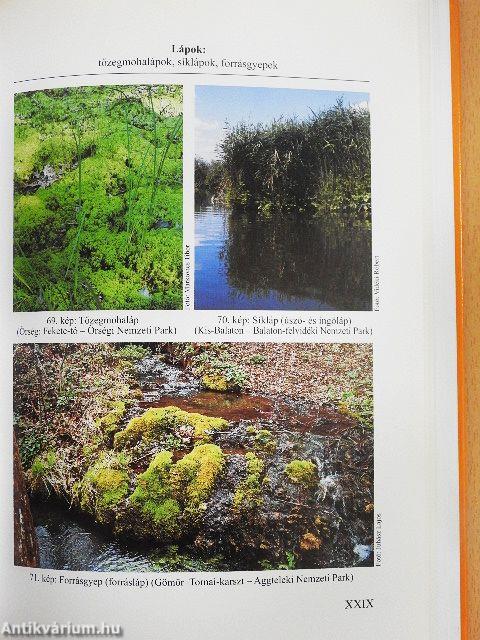 Természetvédelmi élőhelyismeret