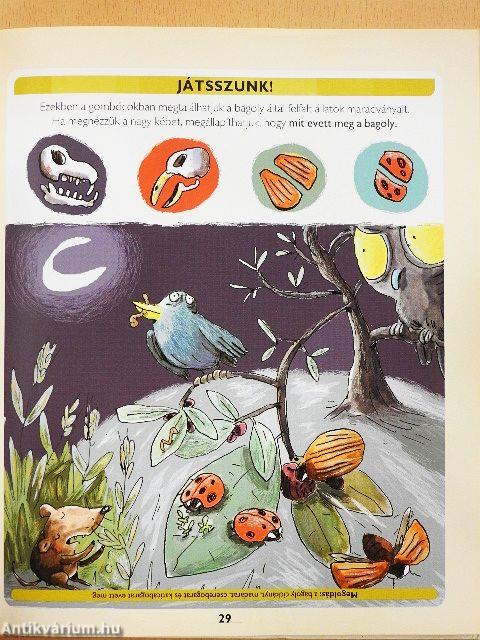 Első Larousse könyvem a környezetről