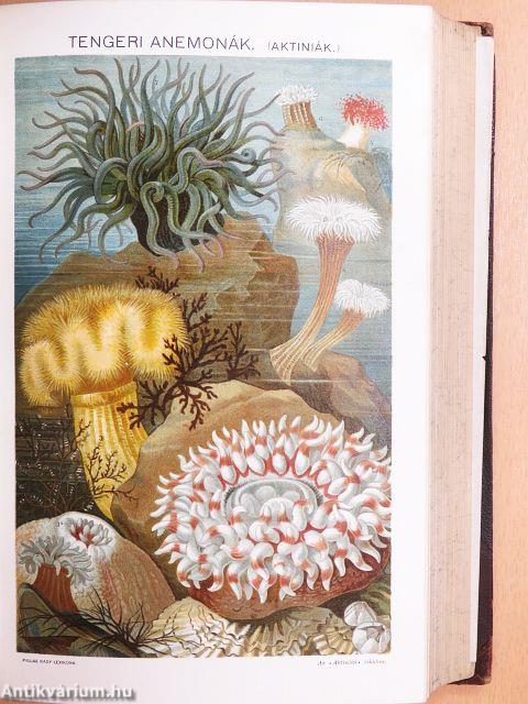 A Pallas Nagy Lexikona I-XVIII.