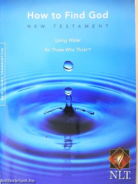 New Believer's Bible