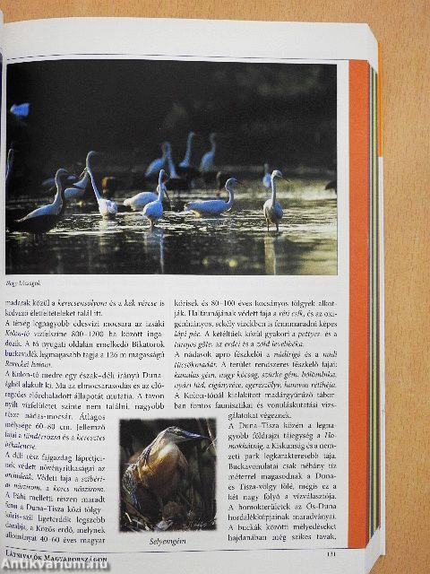 Látnivalók Magyarországon 2010