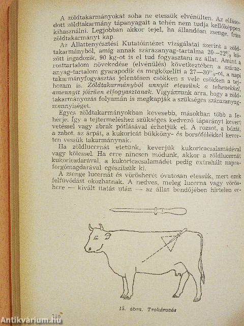 Árutermelés a szarvasmarhatenyésztésben