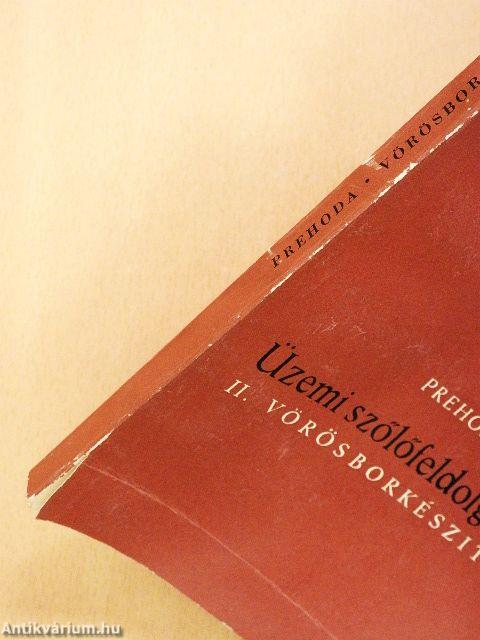 Üzemi szőlőfeldolgozás II.