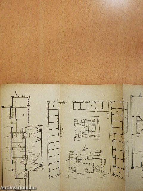 Üzemi szőlőfeldolgozás II.