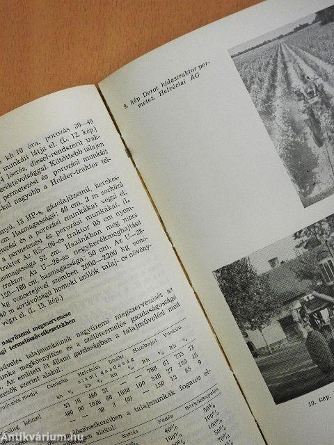 A homoki szőlőtermelés korszerűsítése