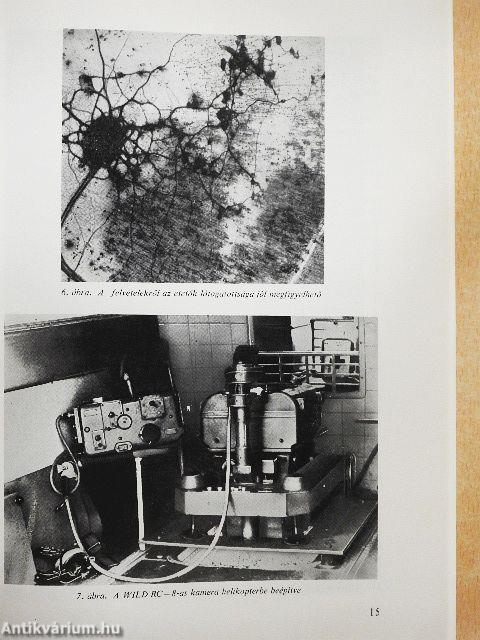 Nagyvadgazdálkodás