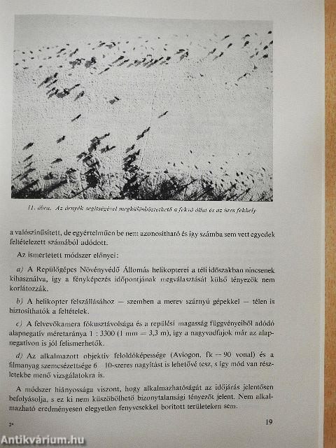 Nagyvadgazdálkodás