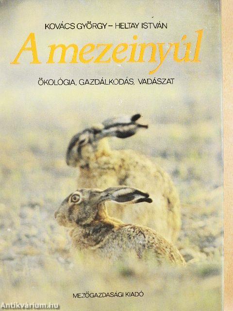 A mezeinyúl