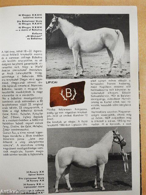 Magyar lótenyésztés 1945-1980