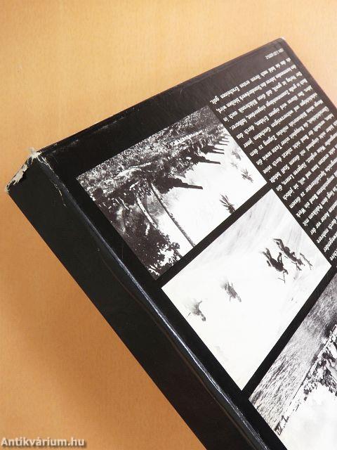 Der zweite Weltkrieg