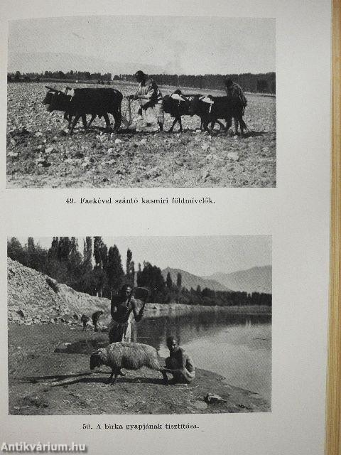 A boldog völgy országa