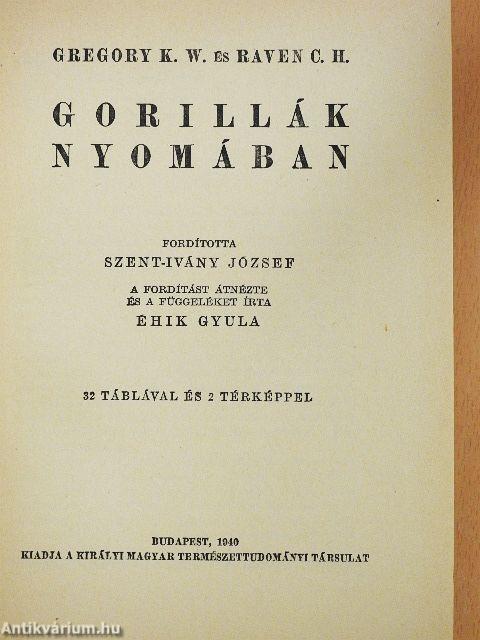 Gorillák nyomában
