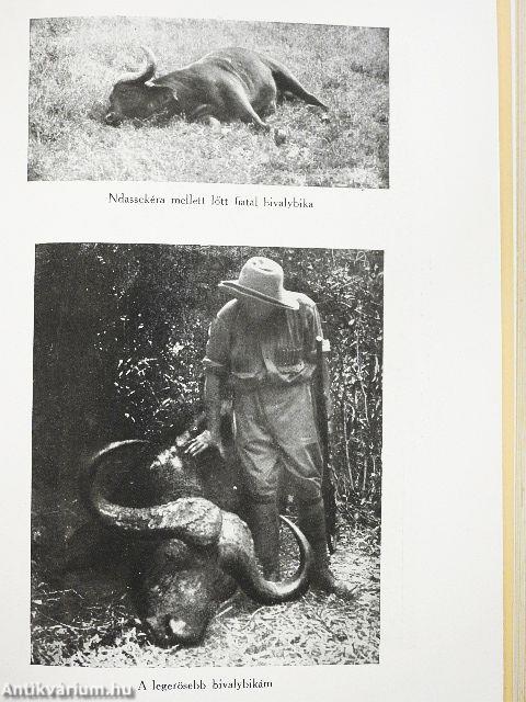 Vadász- és gyüjtőúton Kelet-Afrikában 1903-1926