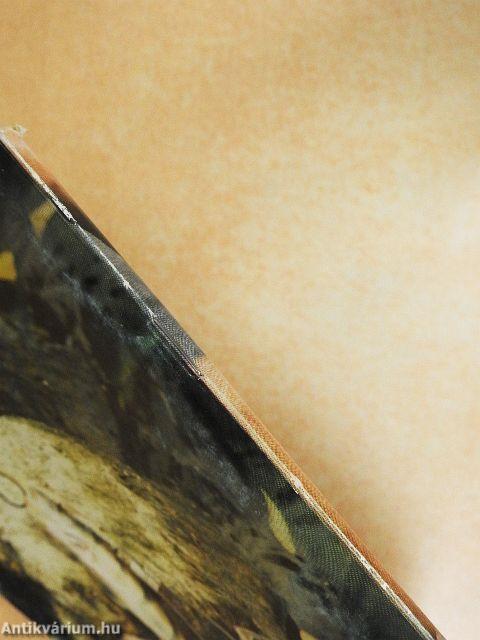 Horgászati alapismeretek