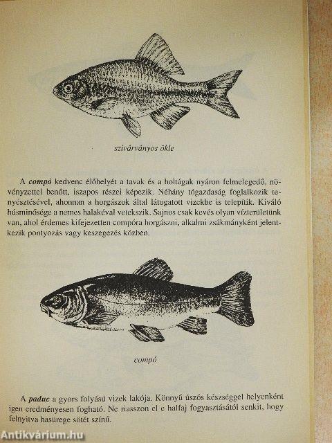 Horgászati alapismeretek