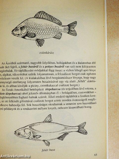 Horgászati alapismeretek