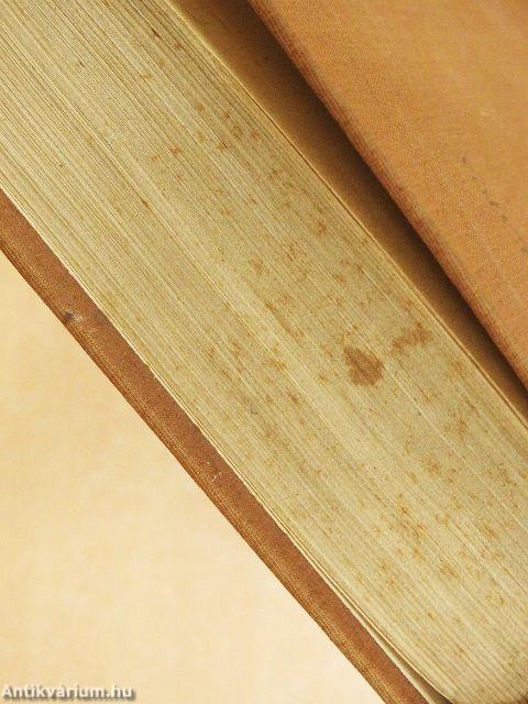 Kiskunhalom/Három boltoskisasszony/Falu