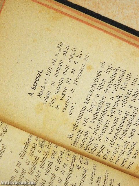 Örökzöld koszorú