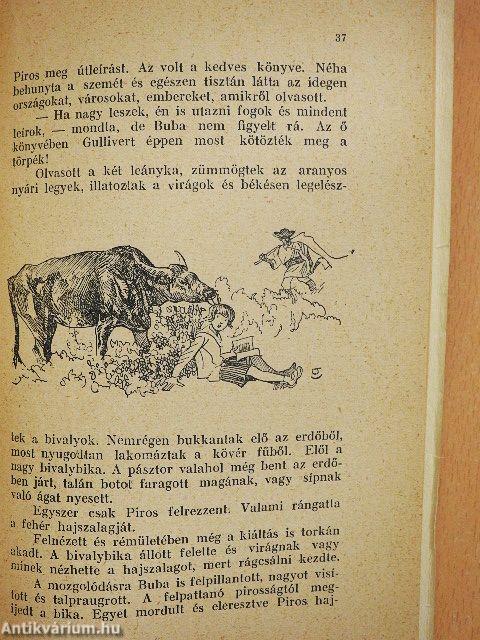 Egy lugas története